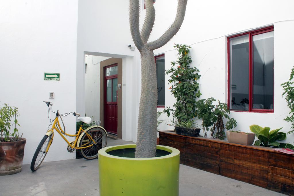 Kuku Ruku Hotel Querétaro Exterior foto
